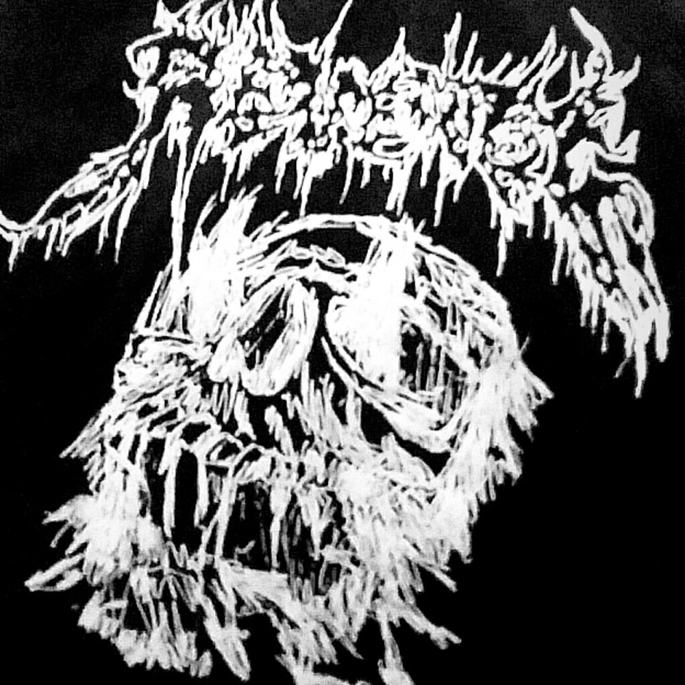 Meet your Posher, Evan